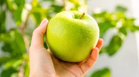 Стоматолог рассказала, какие продукты помогут освежить дыхание после еды