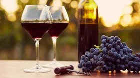 Чем отличаются друг от друга биодинамические, органические и натуральные вина. И стоит ли их покупать