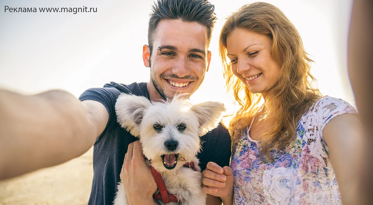 Куратор, опекун, автоволонтер: самые разные способы помощи приютам для животных