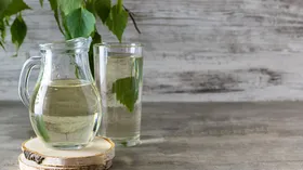 Сладость березы: откуда берется вкус сока и как его пить правильно, чтобы не навредить здоровью