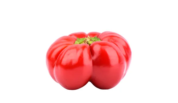 Перец Гогошар