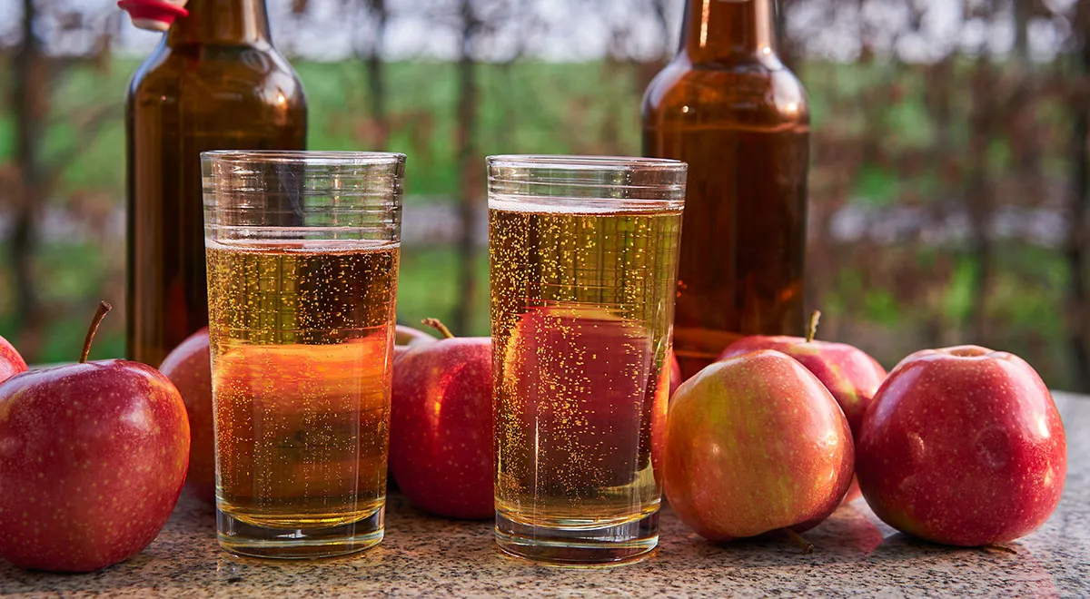 Как приготовить яблочный сидр в домашних условиях, чтобы не отравиться