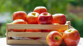5 полезных свойств яблок для худеющих