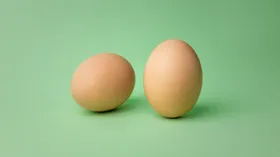 Два яичных белка на ночь сжигают жир? Эндокринолог ответила, возможно ли такое