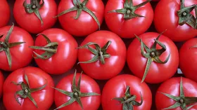 Как сохранить помидоры свежими на неделю и дольше — секретами поделилась фермер