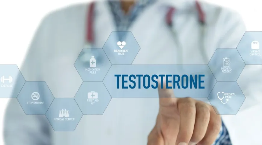 Тестостерон влияет не только на сексуальную функцию, от него зависят многие аспекты здоровья мужчины 