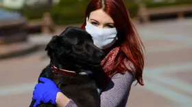 Как сервис «Собака-гуляка» помогает собакам, кошкам и хомячкам, хозяева которых заболели коронавирусом