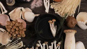 Необычные грибы: где можно попробовать блюда с сянгу, цао гу, древесными грибами и даже с мухомором