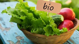 Органические продукты: польза, особенности, правила выбора 