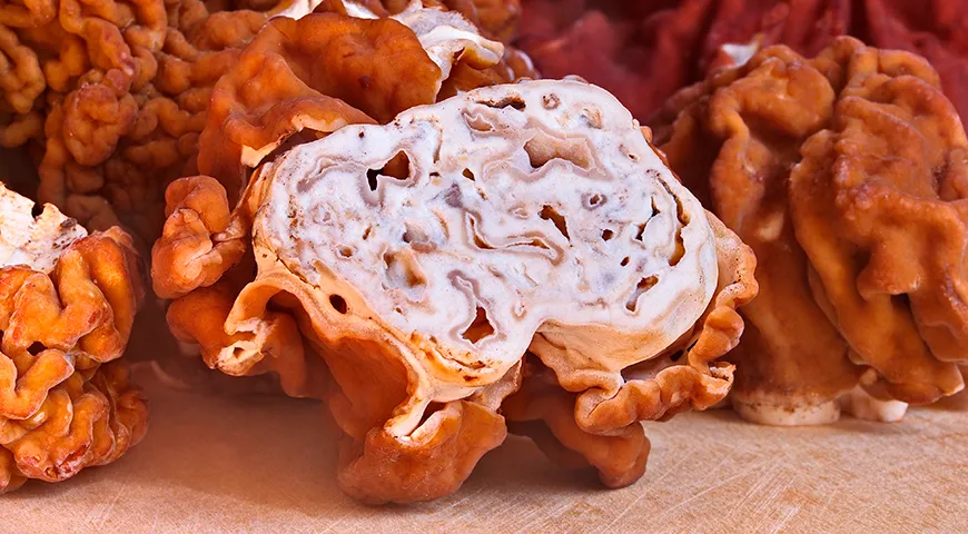 Строчки легко узнать по сморщенной, извилистой шляпке, напоминающей ядро грецкого ореха или поверхность мозга