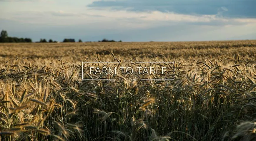 В Петербурге пройдет первый в России фестиваль FARM TO TABLE