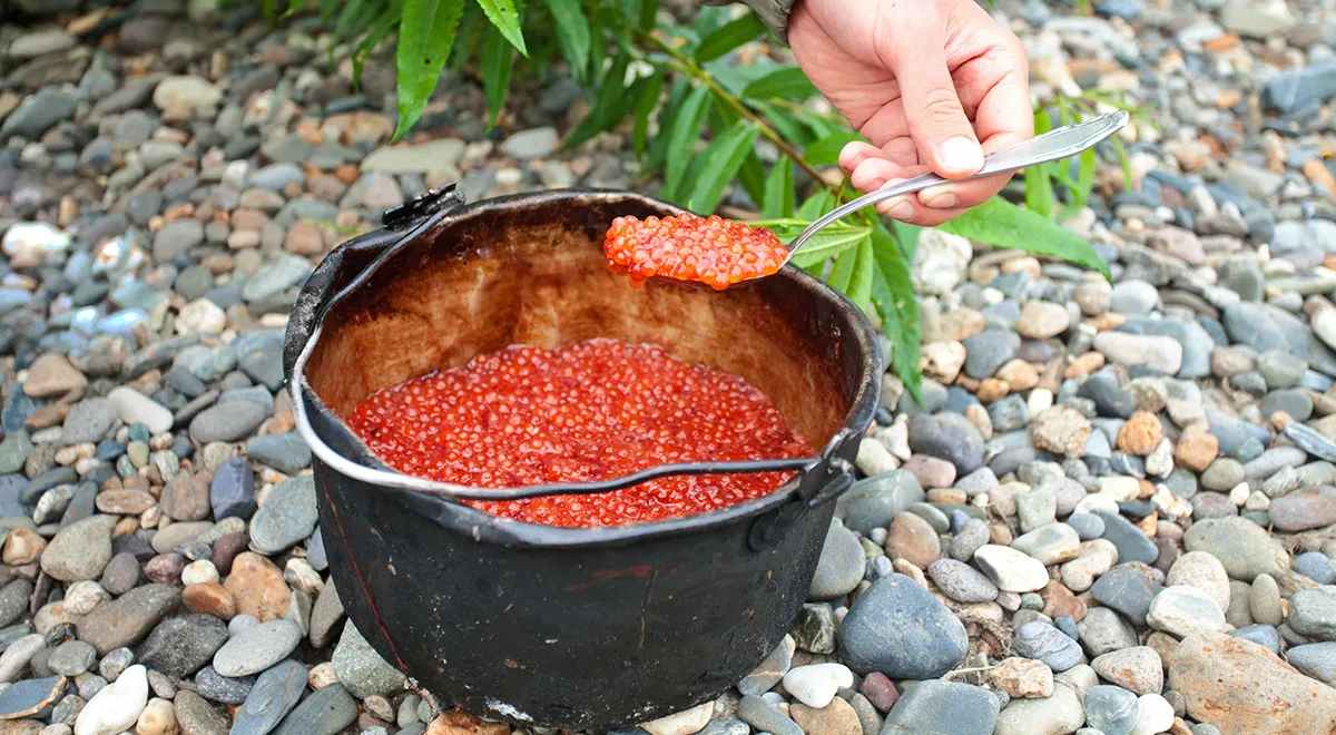 Какие продукты можно попробовать на Камчатке: лавовое молоко, сокочинские пирожки, клоповка и другие деликатесы