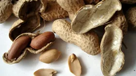 Токсичный арахис завезли в Россию из Китая 