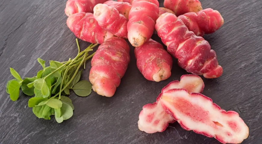 Съедобные клубни кислицы клубненосной