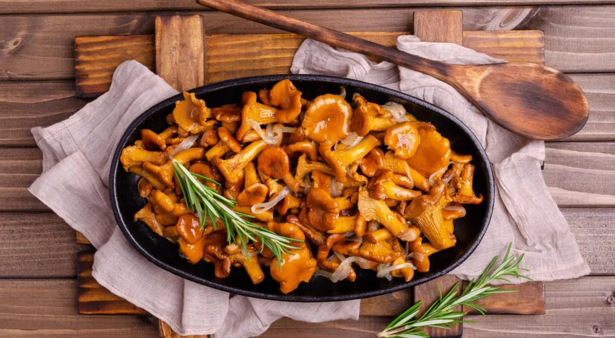 Диетолог рассказала, кому могут навредить лесные грибы