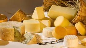 Жирность сыра