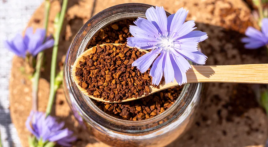 Форма выпуска цикория — гранулы