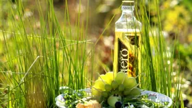 Простые рецепты с молочной продукцией и сыром Рикотта