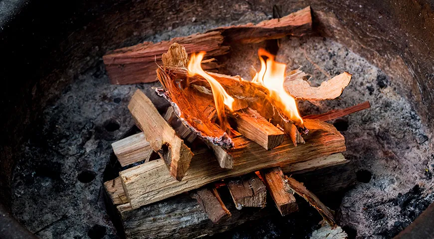 Чтобы на ваш шашлык не попали вредные испарения, разжигайте огонь без всякой химии, используйте дрова, ветки и спички