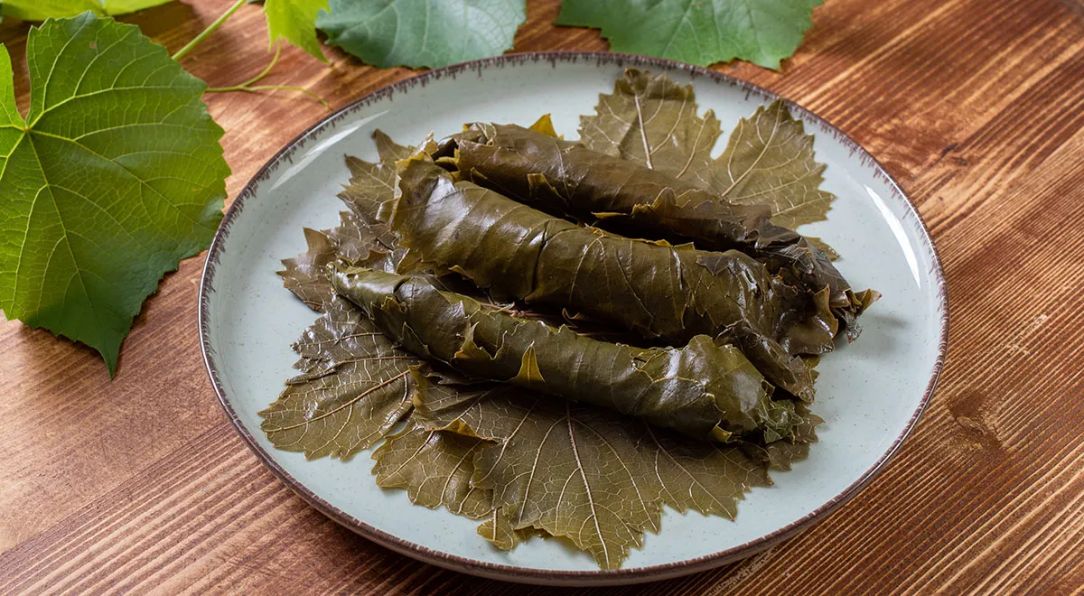 Мягкие сыры