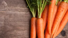 Польза и вред моркови, что важного знать об этом простом овоще