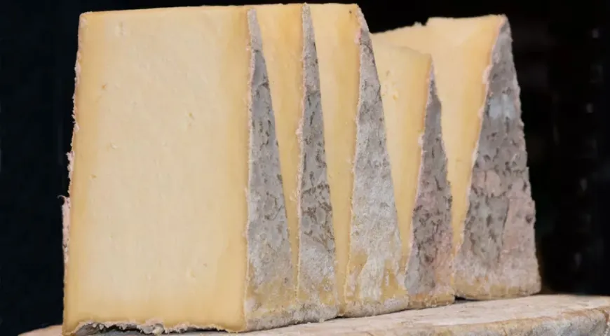 Сыр кайрфилли долгой выдержки с белой плесенью