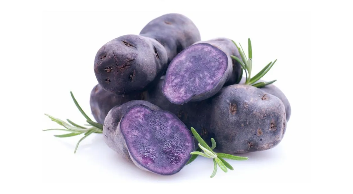Картофель фиолетовый