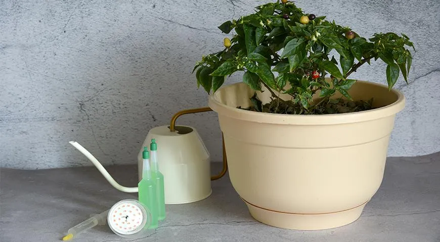 Для выращивания овощей в горшках вам понадобится: лейка для полива, удобрения для подкормок, фитолампа для досвечивания растений в осенне-зимний период.