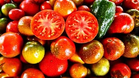 30 рецептов с помидорами для лучшей работы мозга