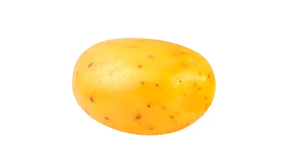Картофель Гала