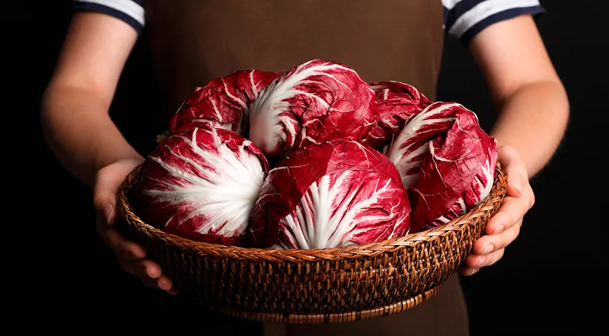 Цвет салата радиккьо обусловлен высоким содержанием антоцианов, которые синтезируются в условиях прохладной погоды