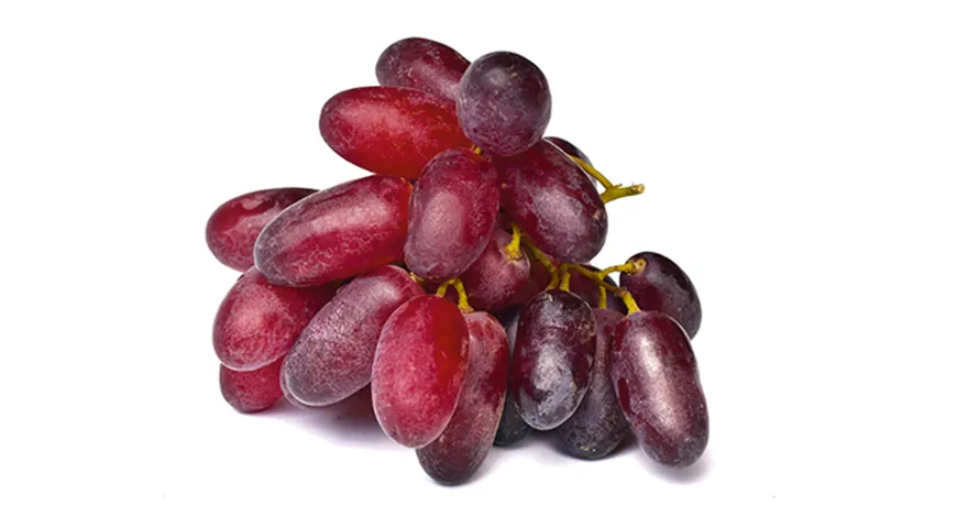 Сорт винограда
