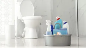 Средства для уборки туалетов от налета и ржавчины, для дезинфекции и от запаха