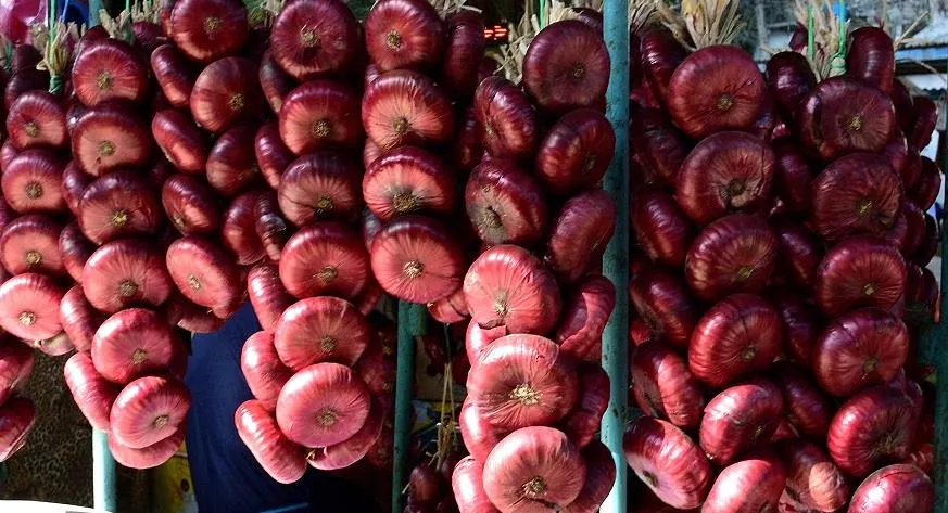 Ялтинский лук сладкий, сочный, без малейшей горечи и остроты