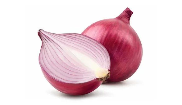 Красный лук