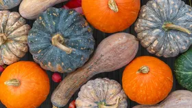Что будет, если есть тыкву каждый день? Диетологи озвучили 5 положительных перемен