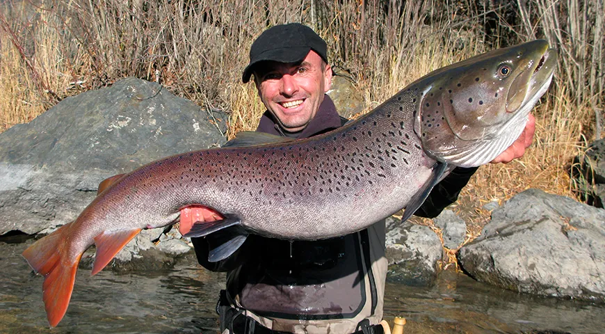 Рыбаки считают таймень «царем рек»: взрослые экземпляры достигают 1,5–2 метров в длину и весят 50–60 килограммов