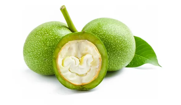 Зеленые грецкие орехи