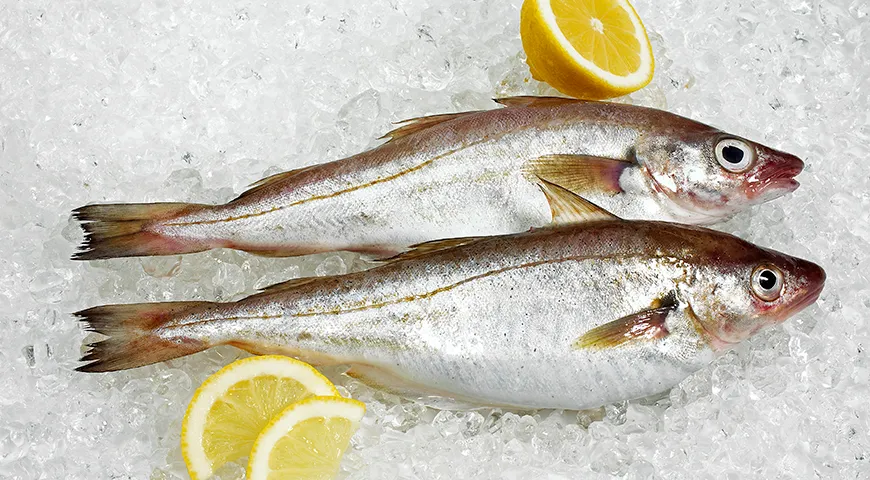 Тушка свежего мерланга упругая, с целой, чистой, блестящей и влажной кожей без слизи, плотно сидящей чешуей