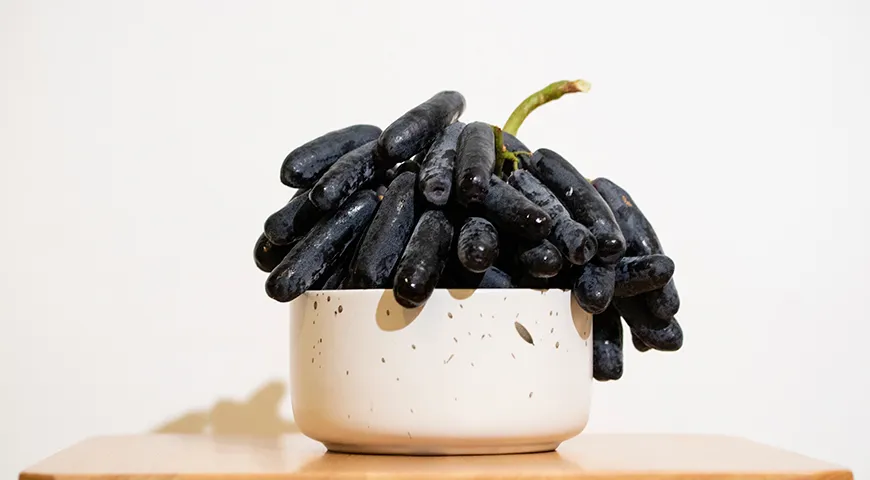 Экзотический кишмиш «черный палец» (Black Finger), чьи крупные, удлиненные сине-фиолетовые ягоды действительно напоминают пальцы
