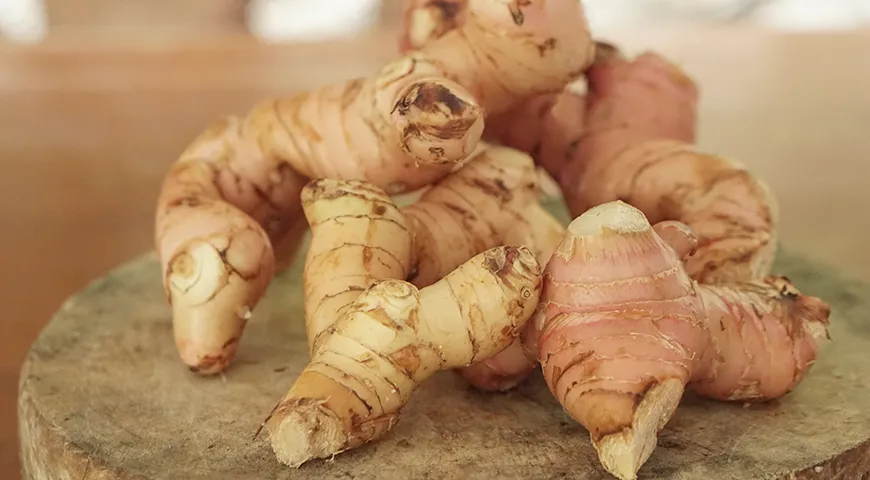 Обратите внимание на цвет корневища свежего галангала: молодые корни светло-розовые или желтовато-бежевые