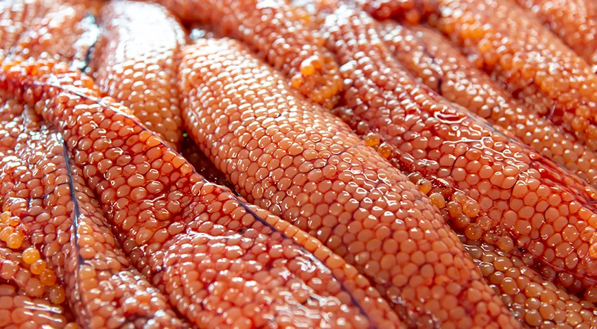 Зернистую икру изготовляют из икры-сырца тихоокеанских (дальневосточных) лососевых рыб: горбуши, кеты, кижуча, нерки (красной), симы и чавычи