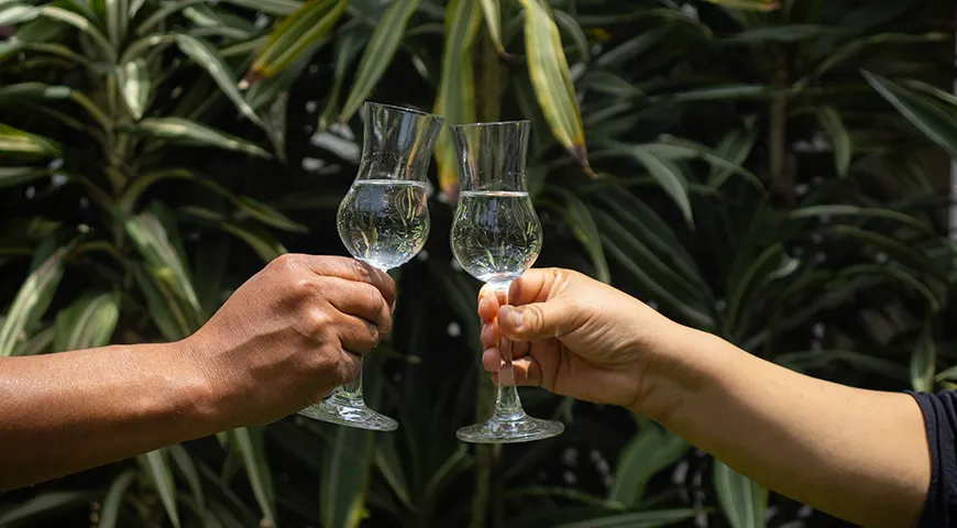 Аромат добротного писко — чистый, виноградный, нередко с фруктовыми, цветочными и травяными оттенками