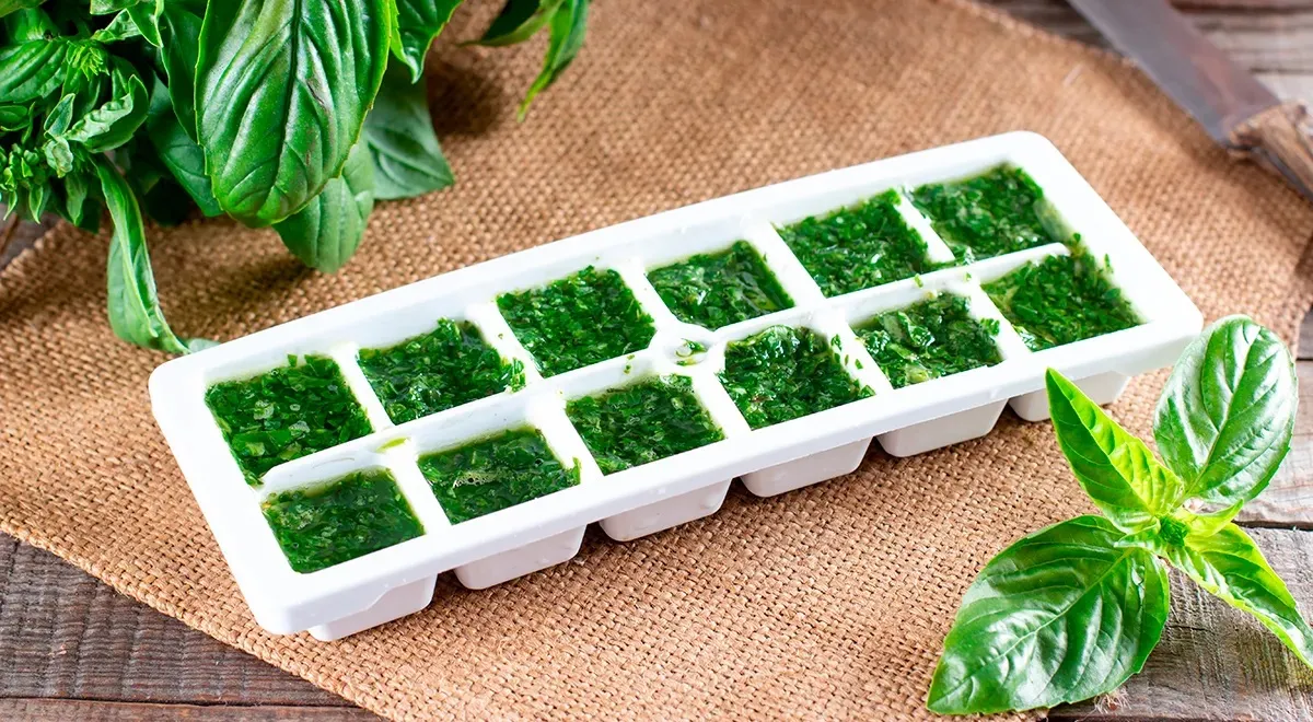 Один из вариантов сохранить вкус базилика на зиму — заморозить его в формочках с оливковым маслом