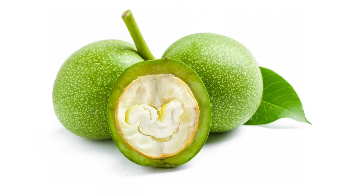 Зеленые грецкие орехи