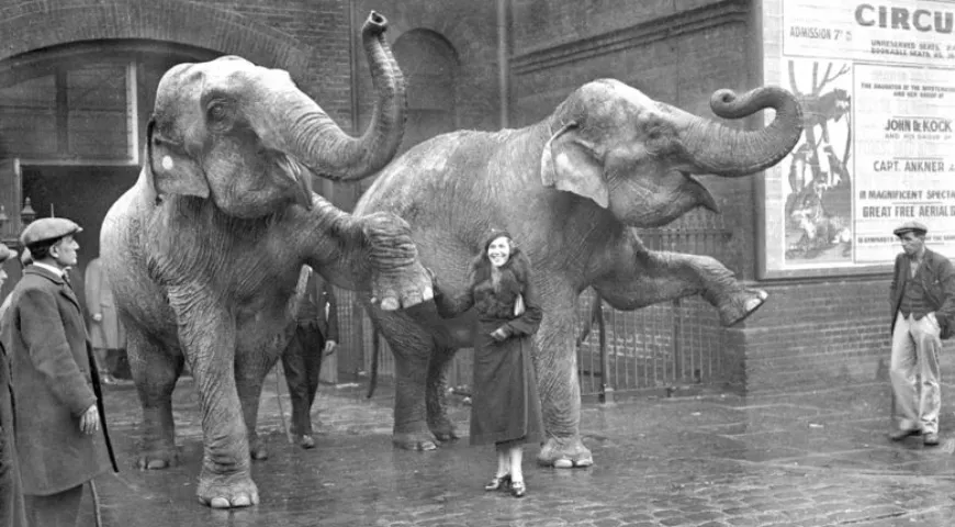 Мария Распутина на гастролях с цирком, Planet News Archive, источник: SSPL via Getty Images