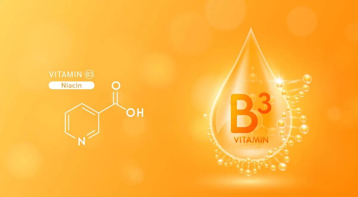 Витамин В3, польза и вред, чем грозит дефицит, в чем содержится и как  избежать передозировки? — читать на Gastronom.ru