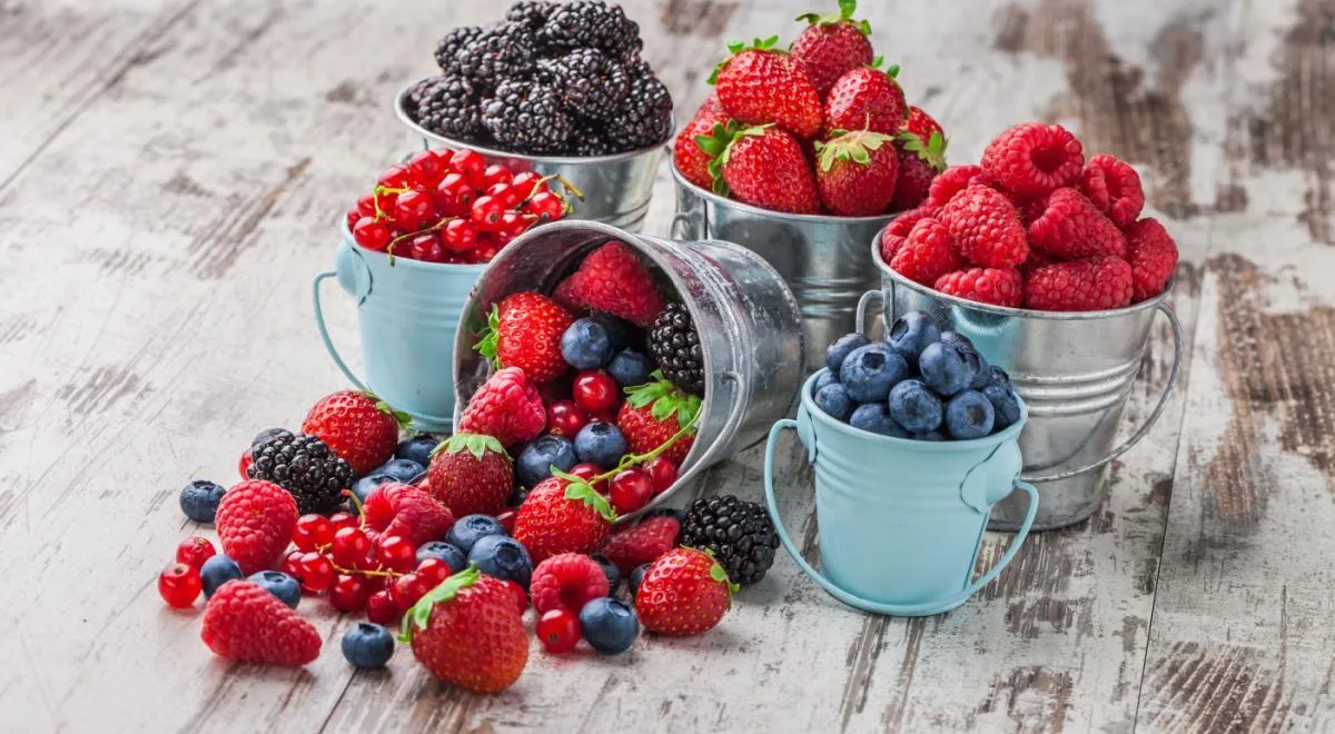 ТОП-5 самых полезных ягод и овощей июля: почему их есть обязательно