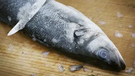 Рыба вторичной заморозки: чем она опасна?