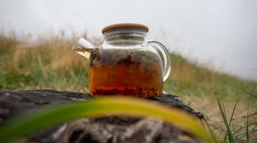 В Хибинских горах можно найти до 500 разнообразных минералов и... иван-чай